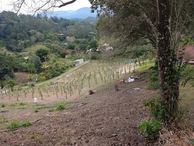 Lote/Terreno à venda, 5000m² no , Itariri