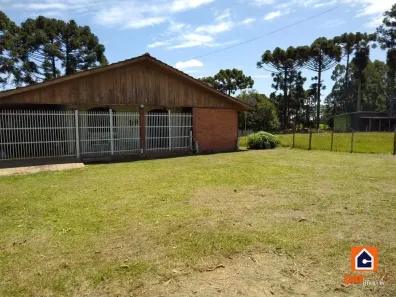 Fazenda/Sítio com 1 Quarto à venda, 12000m² no Guaragi, Ponta Grossa