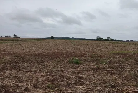 Fazenda/Sítio com 1 Quarto à venda, 1m² no Área Rural de Itapetininga, Itapetininga