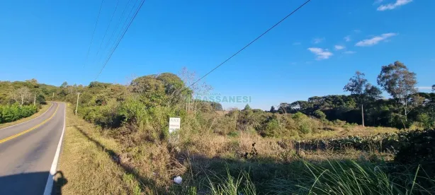 Lote/Terreno à venda, 25260m² no Fazenda Souza, Caxias do Sul