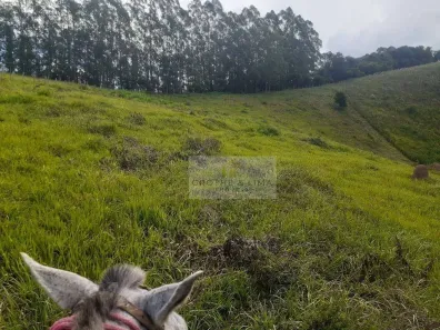 Lote/Terreno à venda, 18335m² no , São Luiz do Paraitinga