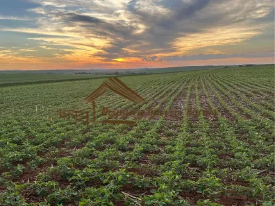 Fazenda/Sítio à venda, 1m² no Área Rural de Ourinhos, Ourinhos
