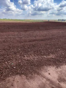 Fazenda/Sítio com 3 Quartos à venda, 250m² no Área Rural de Araraquara, Araraquara