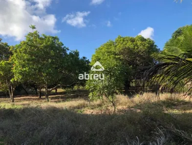 Fazenda/Sítio à venda, 5322m² no Santa Terezinha, São Gonçalo do Amarante