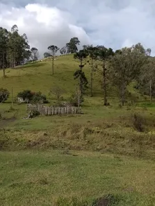 Fazenda/Sítio com 2 Quartos à venda, 60000m² no , Camanducaia