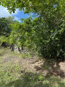 Lote/Terreno à venda, 700m² no Praia do Forte, Mata de São João