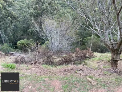 Lote/Terreno à venda, 2313m² no Santa Isabel, Viamão
