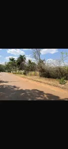 Fazenda/Sítio à venda, 5000m² no Sítios de Recreio Mansões do Campus, Goiânia