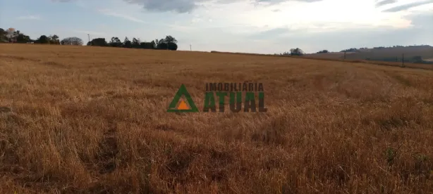 Lote/Terreno à venda, 100000m² no , Ibiporã