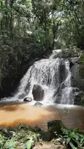 Casa de Condomínio com 3 Quartos à venda, 267m² no , Santo Antônio do Pinhal