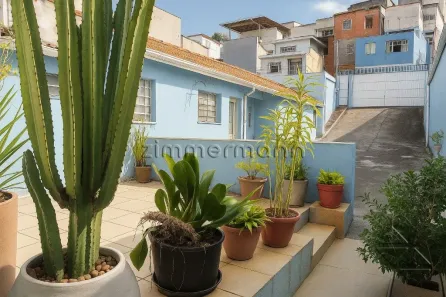 Casa com 3 Quartos à venda, 87m² no Vila Anglo Brasileira, São Paulo