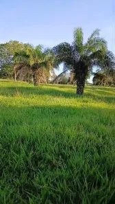 Casa com 1 Quarto à venda, 10m² no , Goiás
