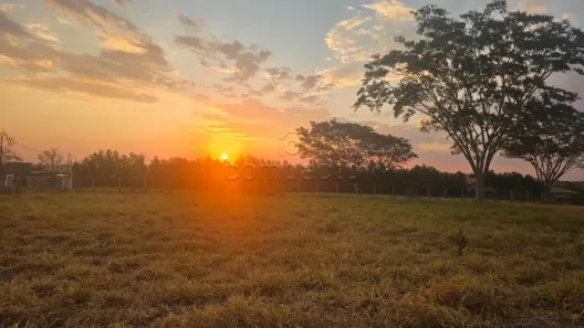 Lote/Terreno à venda, 5000m² no Chácara Bela Vista, São José do Rio Preto