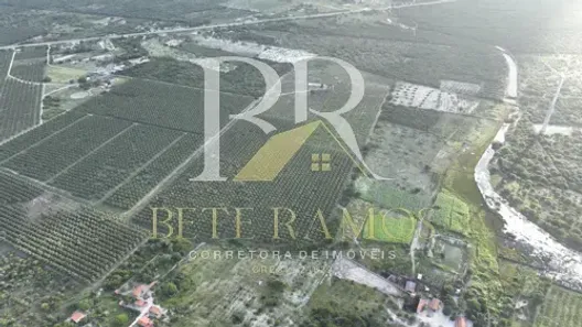 Fazenda/Sítio à venda, 250000m² no Guajiru, Fortim