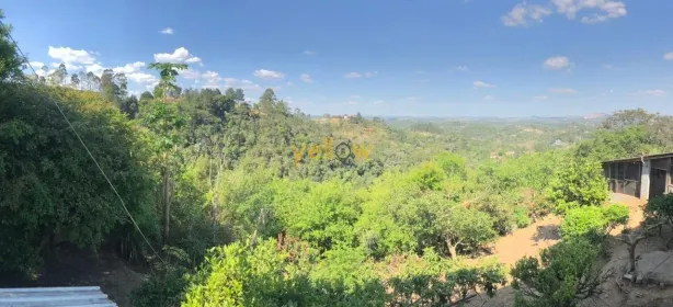 Fazenda/Sítio com 3 Quartos à venda, 4870m² no Estância São Domingos, Santa Isabel