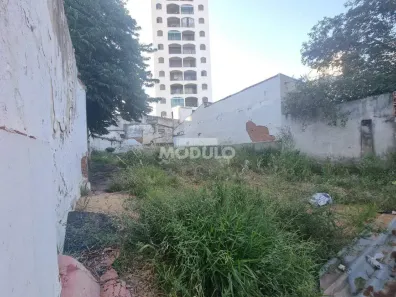Lote/Terreno para alugar, 235m² no Centro, Uberlândia