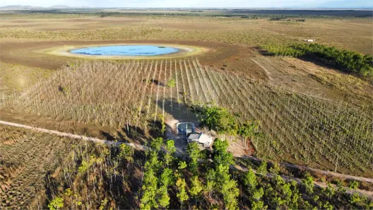 Fazenda/Sítio com 1 Quarto à venda, 48000m² no Área Rural de Boa Vista, Boa Vista