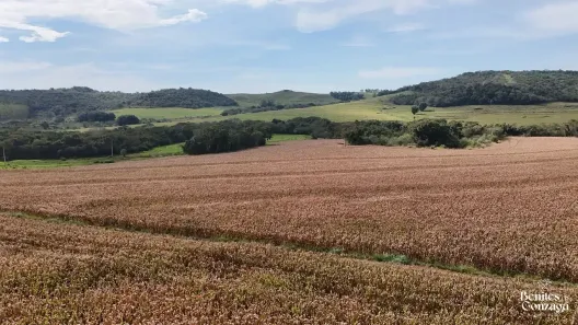Fazenda/Sítio à venda, 10m² no Leste, Marialva