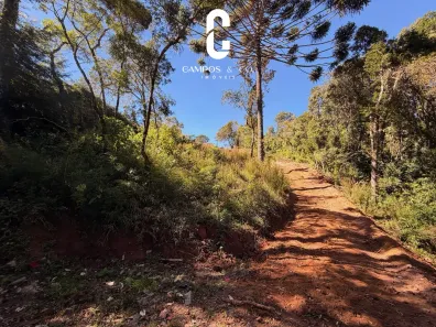 Lote/Terreno à venda, 2278m² no Jardim das Flores, Campos do Jordão