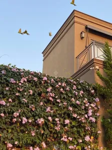 Casa com 4 Quartos à venda, 700m² no Alphaville, Santana de Parnaíba