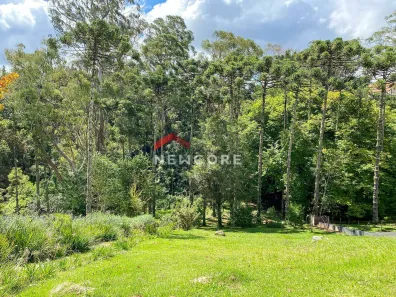 Lote/Terreno à venda, 1302m² no Alto do Capivari, Campos do Jordão