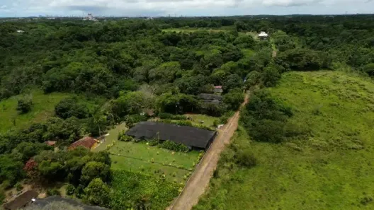 Fazenda/Sítio com 4 Quartos à venda, 150m² no Guabiraba, Recife