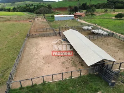 Fazenda/Sítio à venda, 1m² no Centro, Goianésia