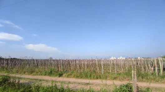 Lote/Terreno à venda, 4252m² no Praia do Pontal, Palhoça