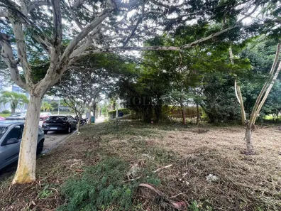 Lote/Terreno com 1 Quarto à venda, 600m² no Jurerê Internacional, Florianópolis