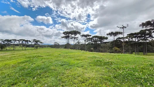 Lote/Terreno à venda, 2803m² no Faxinal, Campo Alegre
