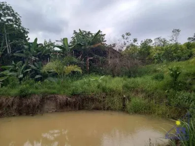 Fazenda/Sítio com 3 Quartos à venda, 180m² no Jardim Magario, Sete Barras