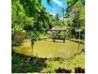 Fazenda/Sítio com 4 Quartos à venda, 3380m² no , Piracaia