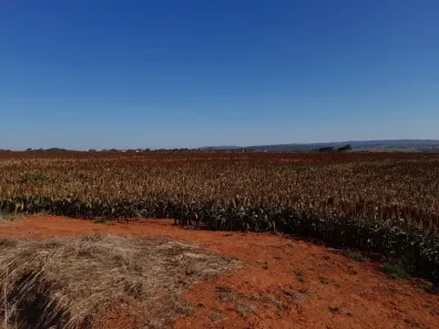Lote/Terreno à venda, 677600m² no , Piracanjuba