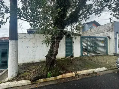 Casa com 3 Quartos para venda ou aluguel, 156m² no Vila Santo Antônio, São Paulo