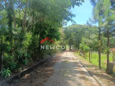 Fazenda/Sítio com 4 Quartos à venda, 450m² no Área Rural de Jarinu, Jarinu