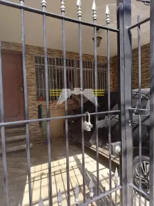 Casa com 3 Quartos à venda, 110m² no Tatuapé, São Paulo