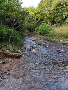 Fazenda/Sítio com 2 Quartos à venda, 10000m² no Setor Habitacional Fercal, Brasília