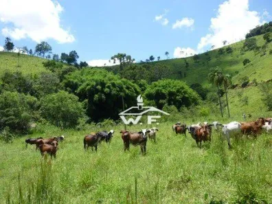 Fazenda/Sítio à venda, 200m² no Rodeio, Cunha