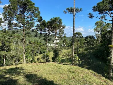 Fazenda/Sítio com 1 Quarto à venda, 83519m² no Rio Vermelho Povoado, São Bento do Sul