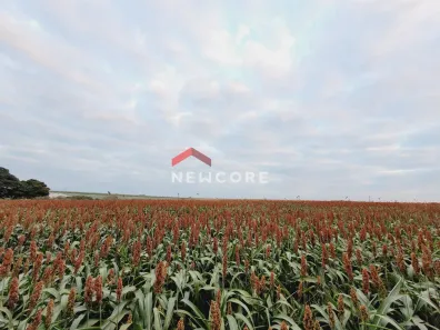 Lote/Terreno com 1 Quarto à venda, 100000m² no Área Rural de Monte Mor, Monte Mor