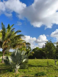 Casa com 4 Quartos à venda, 3350m² no Barra do Pojuca (Monte Gordo), Camaçari