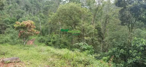 Fazenda/Sítio à venda, 1210000m² no Centro, Piquete