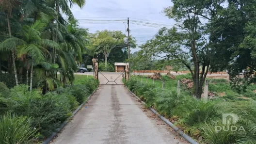 Fazenda/Sítio à venda, 3648m² no Jardim Das Palmeiras, Cocal do Sul