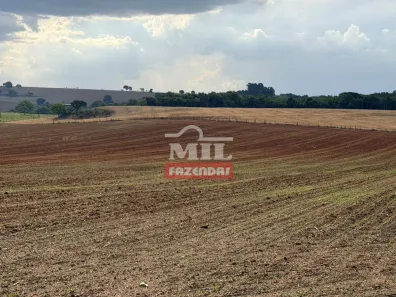 Fazenda/Sítio à venda, 1m² no , Bela Vista de Goiás