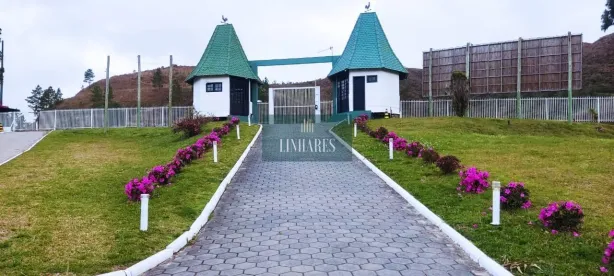 Lote/Terreno à venda, 976m² no Centro, Rancho Queimado