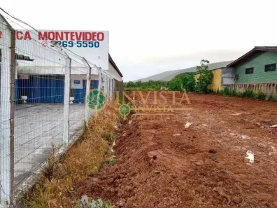 Lote/Terreno à venda, 982m² no Ingleses do Rio Vermelho, Florianópolis