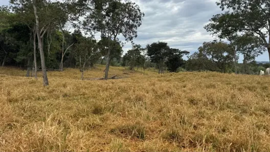 Fazenda/Sítio com 3 Quartos à venda, 653400m² no , Goiás