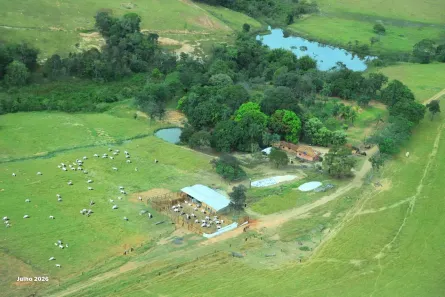 Fazenda/Sítio com 3 Quartos à venda, 1016400m² no , São Francisco de Goiás