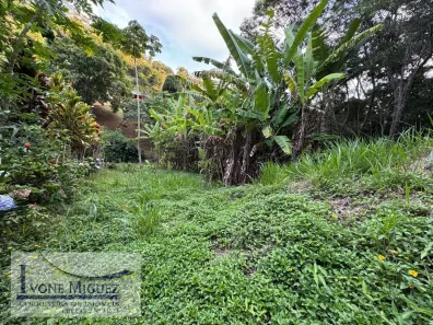 Lote/Terreno à venda, 2127m² no Palmares, Paty do Alferes