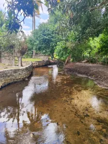 Fazenda/Sítio com 3 Quartos à venda, 15000m² no , São José de Mipibu